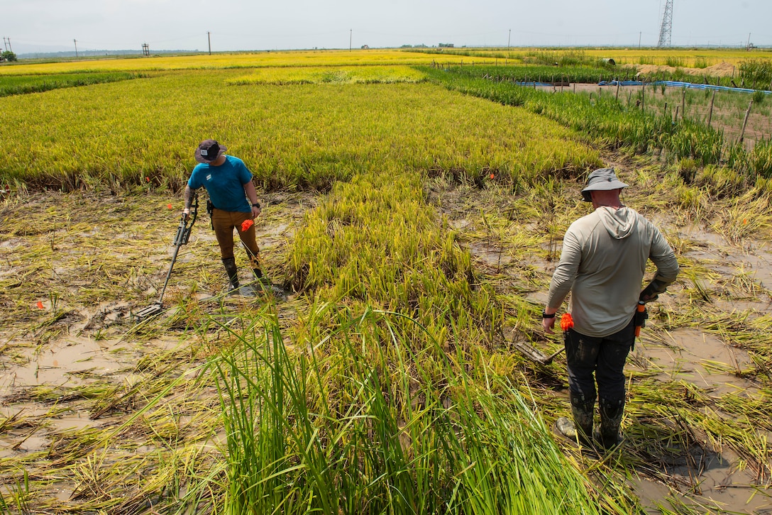 Master Sgt. Dustin Turner, right, an explosive ordnance disposal technician assigned to the Kentucky Air National Guard’s 123rd Civil Engineer Squadron, and another Airman search for unexploded ordnance in a rice paddy in Quang Binh Province, Vietnam, in June 2023.