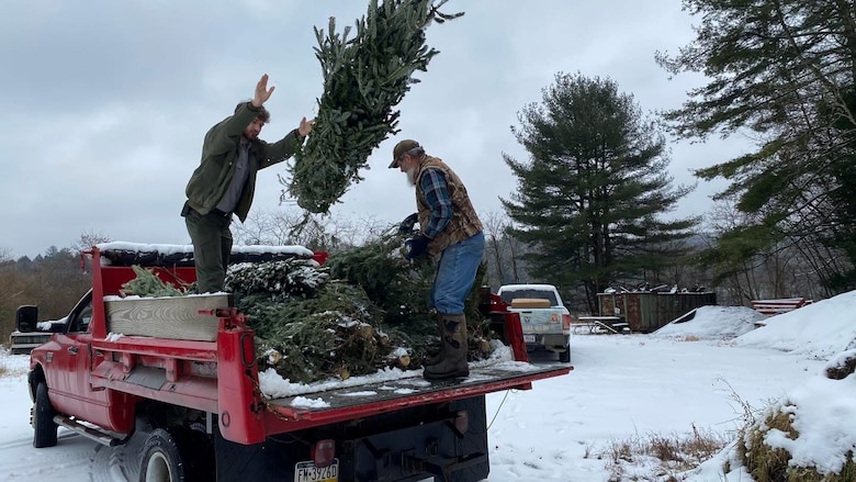 The U.S. Army Corps of Engineers Pittsburgh District will accept live evergreen Christmas trees at Tionesta Lake, which will be used for fish habitats.