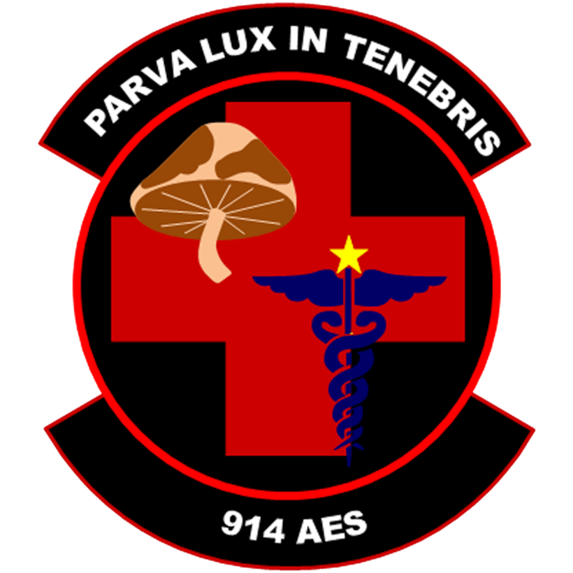 Red Cross with mushroom and caduceus. Reads. "PARVA LUX IN TENEBRIS | 914 AES"