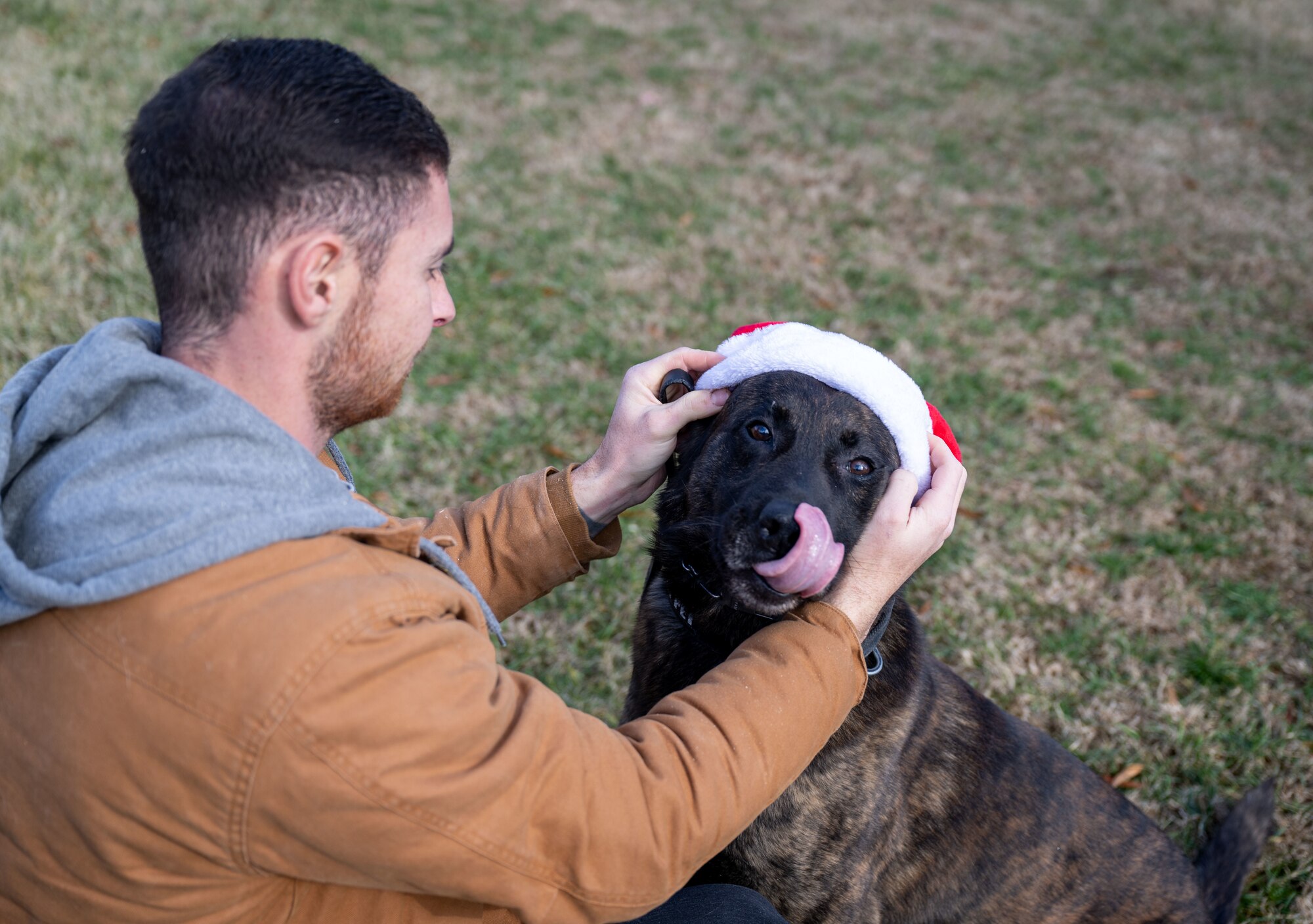 Man puts Santa hat on dog