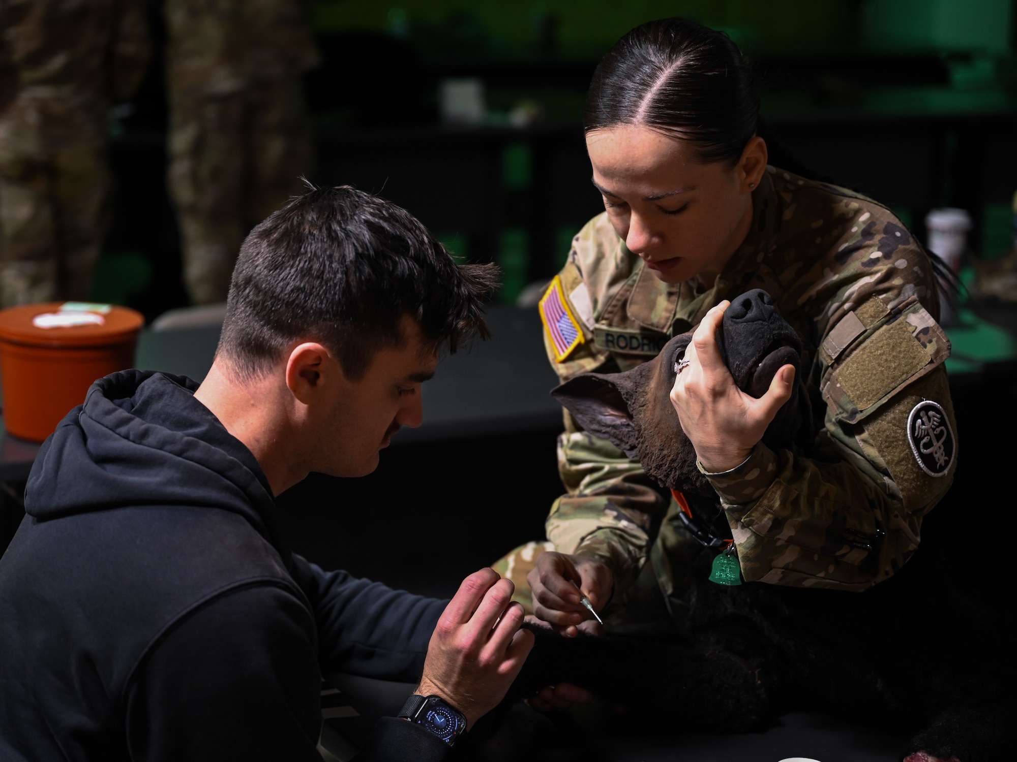 U.S. Air Force Staff Sgt. Joshua Korman, 17th Security Forces Squadron military working dog handler, practices proper intravenous catheter placement with U.S. Army Sgt. Alexus Rodriguez, animal care sergeant stationed at Fort Cavazos, Texas, during a K-9 medical training at Dyess Air Force Base, Texas, Dec. 18, 2024. The training event connected civilian and military law enforcement personnel with medical professionals who were able to share their experiences and give guidance when caring for injured K-9s. (U.S. Air Force photo by Airman 1st Class Jade M. Caldwell)