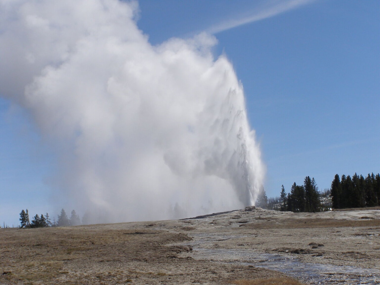 A geyser erupts.