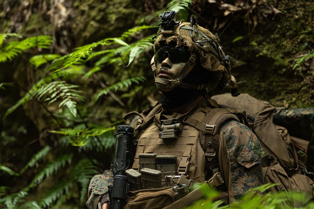 A Marine wearing camouflage and dark glasses stands in a jungle.