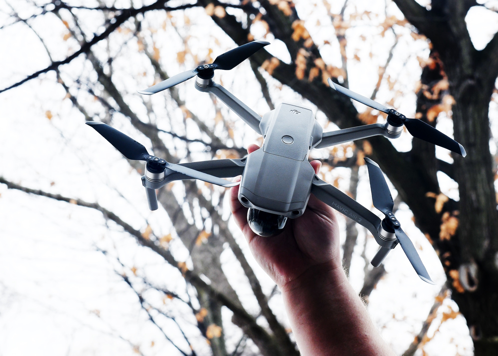 A person's arm holding a drone with tree branches in the background.