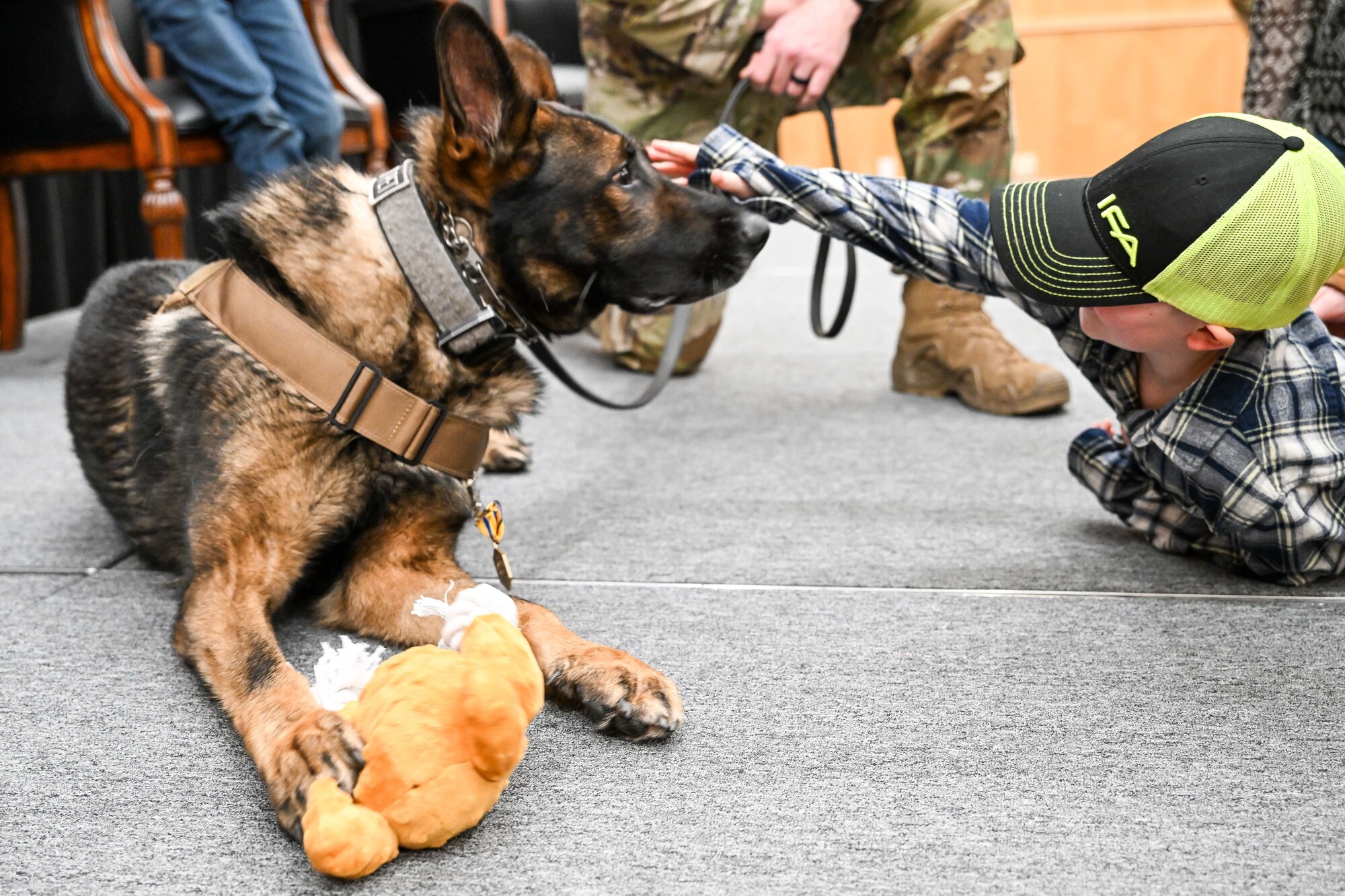 A boy pats a dog on the head