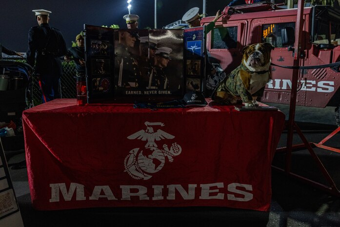 U.S. Marine Corps Pfc. Bruno, the Marine Corps Recruit Depot San Diego and Western Recruiting Region mascot, poses for a photo at the Orange County North-South High School All-Star football game in Costa Mesa, California, Feb. 3, 2024. Bruno’s job is to boost morale, participate in outreach work, and attend events and ceremonies. (U.S. Marine Corps photo by Sgt. Jesse Carter-Powell)