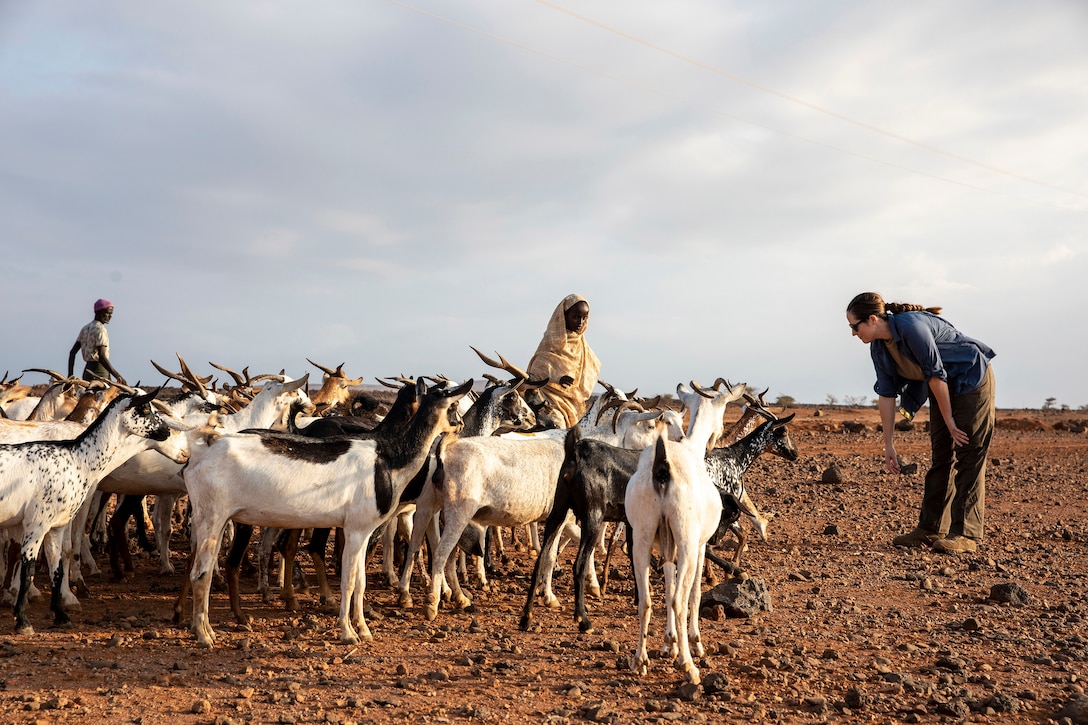 A soldier looks on as two civilians manage a herd of goats in the desert.