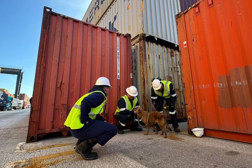 Three service members kneel to pet and look at a dog near shipping containers.