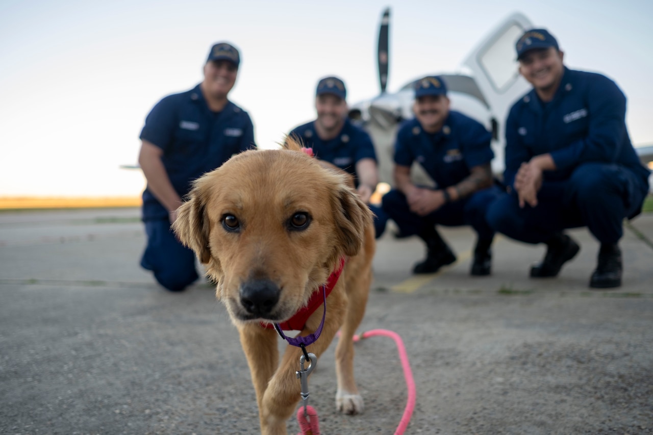 Coast Guard members smile at a dog.