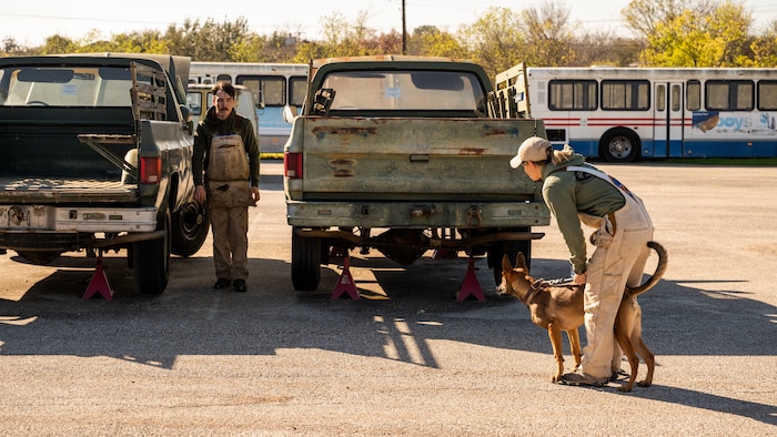 A 341st Training Squadron Dog Handler demonstrates training techniques to SeaWorld trainers who participated in a cross-training collaboration on Jan. 11 and Jan. 19, 2024.