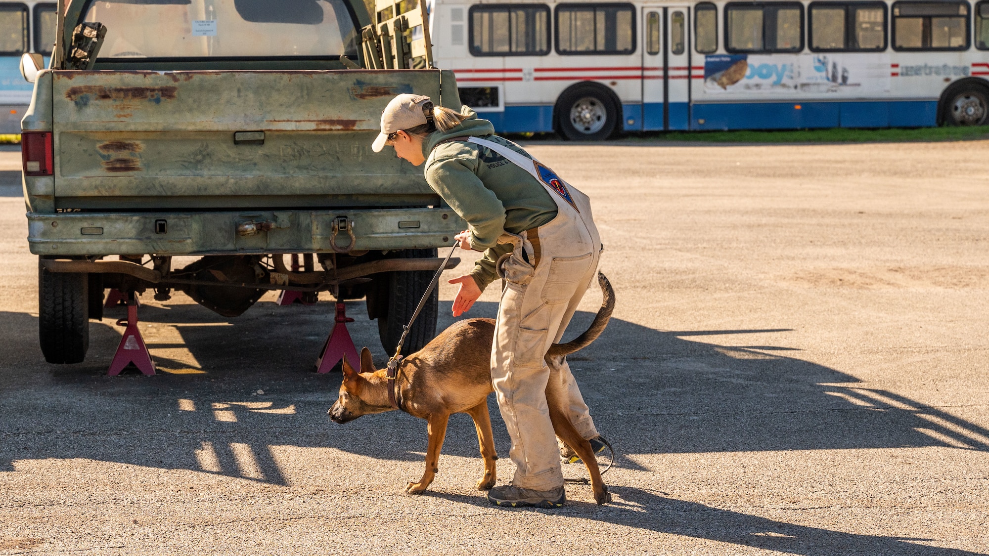 A 341st Training Squadron Dog Handler demonstrates training techniques to SeaWorld trainers who participated in a cross-training collaboration on Jan. 11 and Jan. 19, 2024.