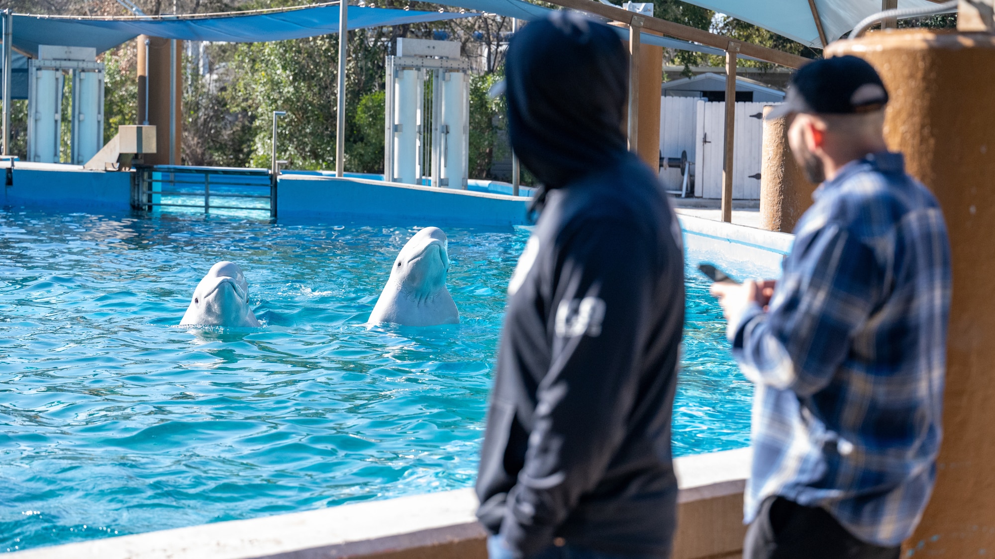 Dog Handlers assigned to the 341st Training Squadron and SeaWorld instructors participate in a cross-training collaboration on Jan. 11 and Jan. 19, 2024.