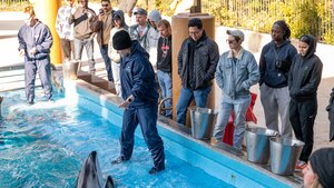 Dog Handlers assigned to the 341st Training Squadron and SeaWorld instructors participate in a cross-training collaboration on Jan. 11 and Jan. 19, 2024.