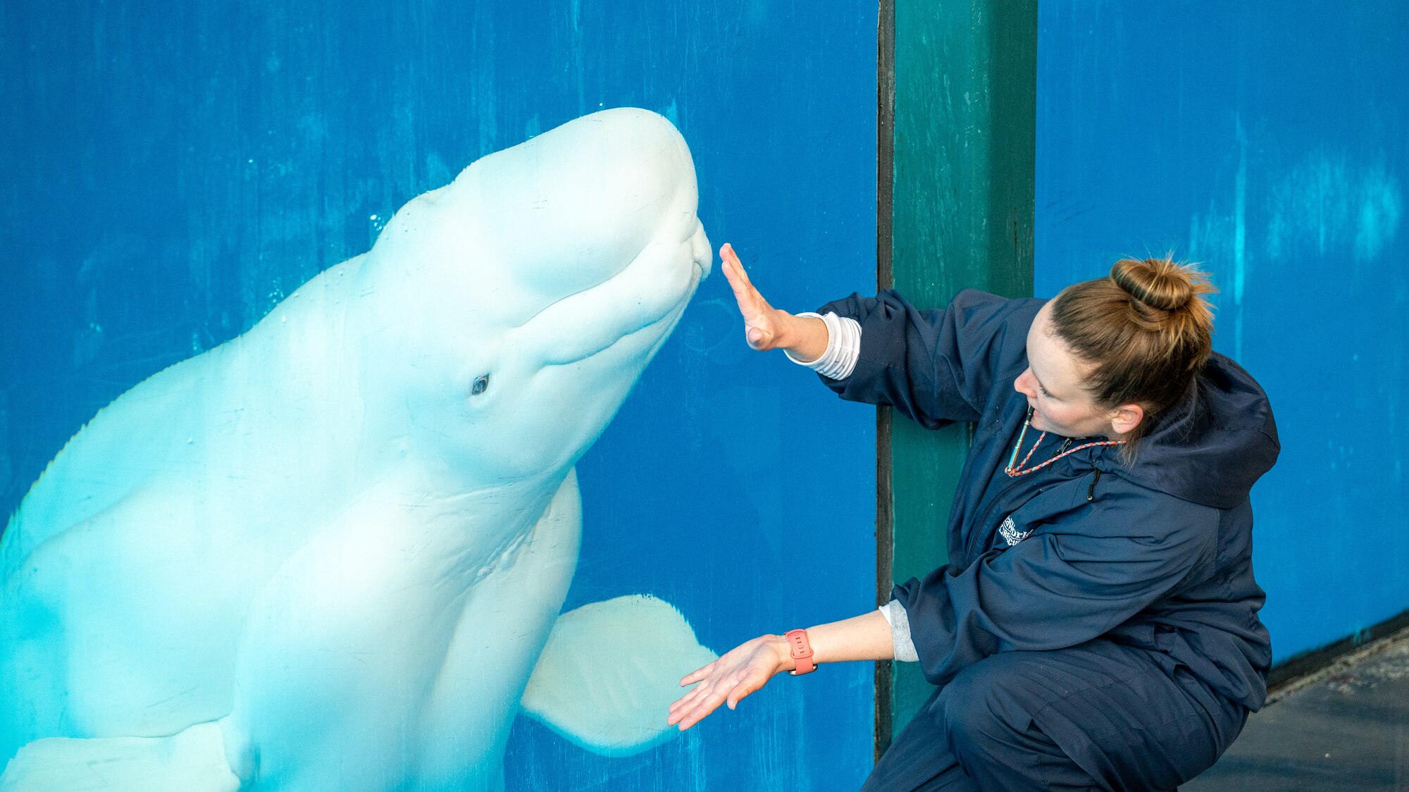 A SeaWorld trainer demonstrates training techniques during the 341st Training Squadron and SeaWorld cross-training collaboration on Jan. 11 and Jan. 19, 2024.
