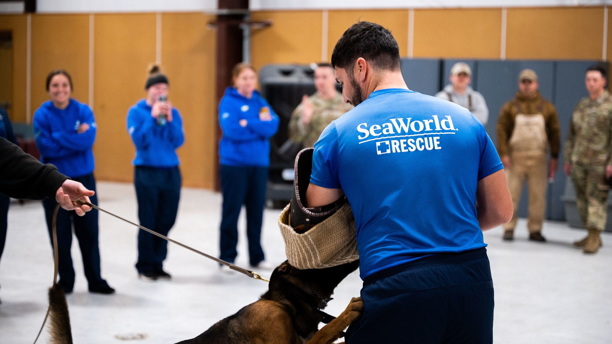 Dog Handlers assigned to the 341st Training Squadron and SeaWorld instructors participate in a cross-training collaboration on Jan. 11 and Jan. 19, 2024.