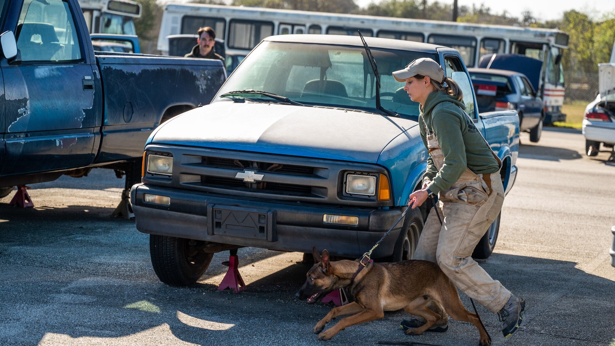 A 341st Training Squadron Dog Handler demonstrates training techniques to SeaWorld trainers who participated in a cross-training collaboration on Jan. 11 and Jan. 19, 2024.