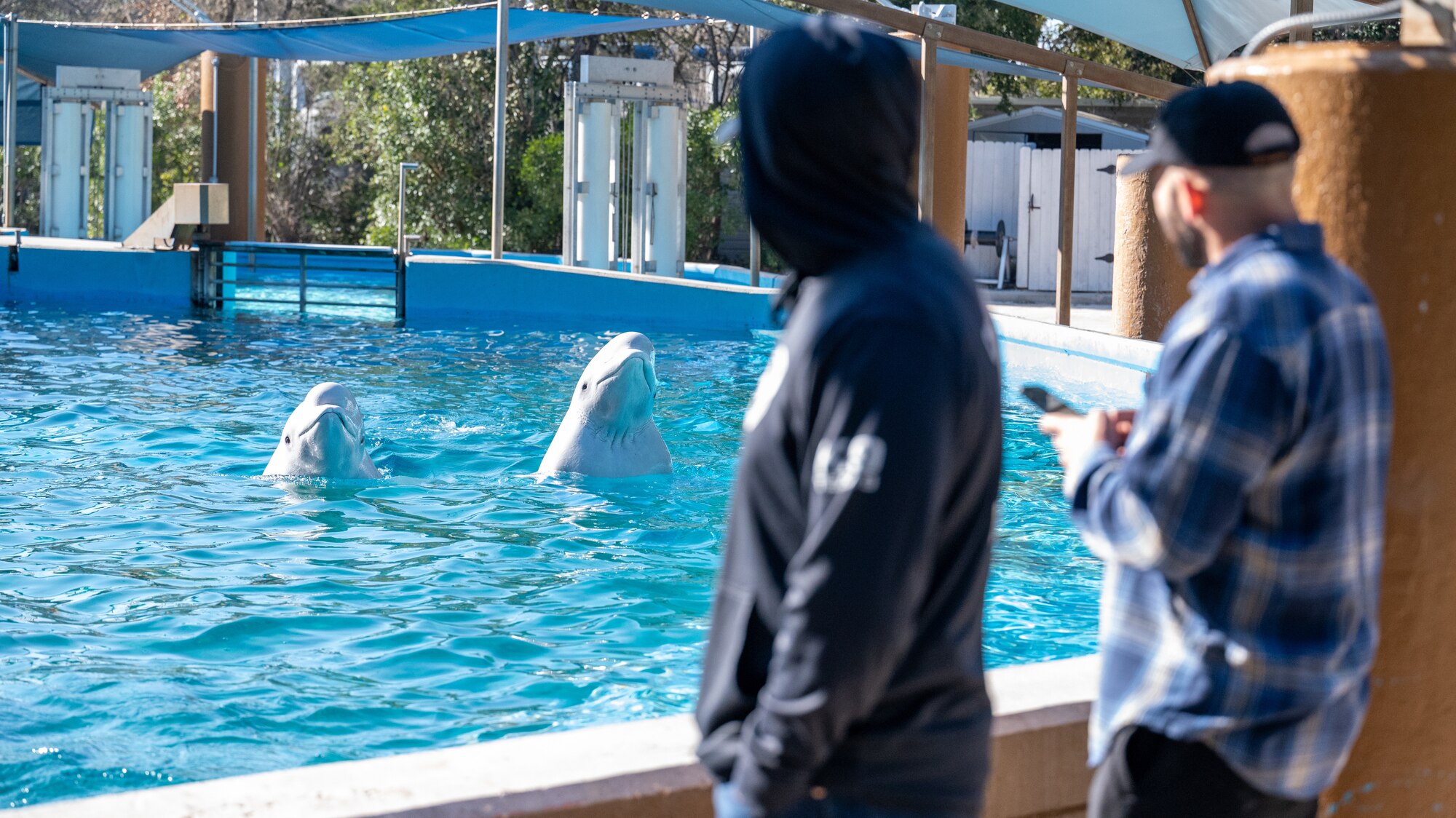 Dog Handlers assigned to the 341st Training Squadron and SeaWorld instructors participate in a cross-training collaboration on Jan. 11 and Jan. 19, 2024.