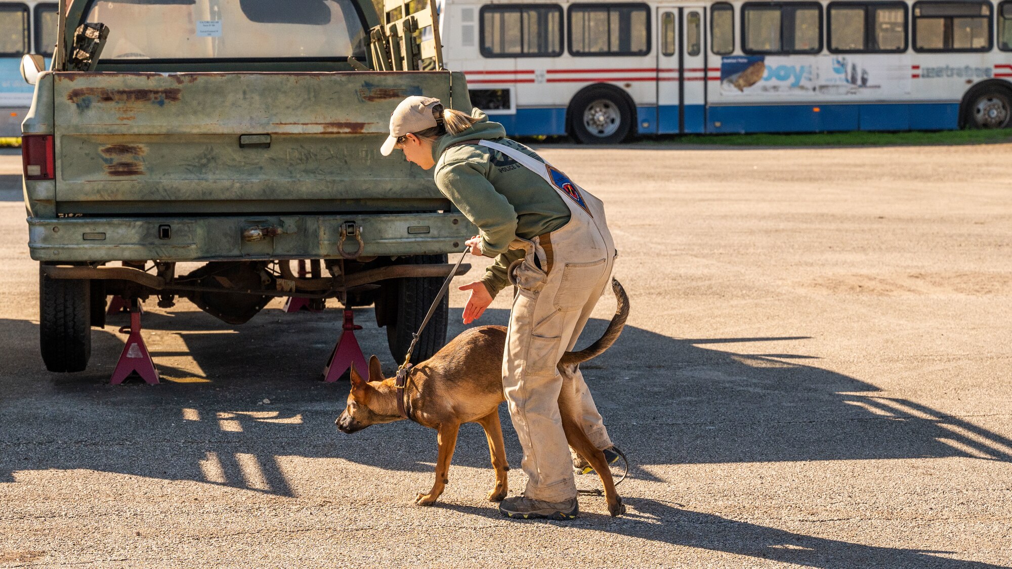 A 341st Training Squadron Dog Handler demonstrates training techniques to SeaWorld trainers who participated in a cross-training collaboration on Jan. 11 and Jan. 19, 2024.