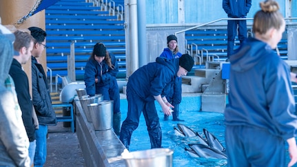 SeaWorld trainers demonstrate training techniques during the 341st Training Squadron and SeaWorld cross-training collaboration on Jan. 11 and Jan. 19, 2024.