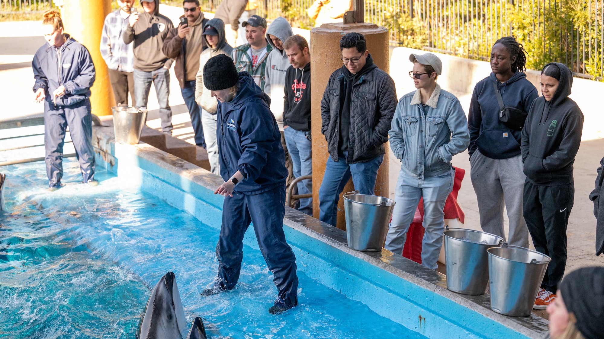 Dog Handlers assigned to the 341st Training Squadron and SeaWorld instructors participate in a cross-training collaboration on Jan. 11 and Jan. 19, 2024.