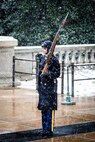 Soldier standing at attention at the Tomb of the Unknown soldier wearing cold weather uniform while carrying rifle in snowy weather conditions.