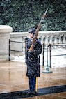 Soldier standing at attention at the Tomb of the Unknown soldier wearing cold weather uniform while carrying rifle in snowy weather conditions.