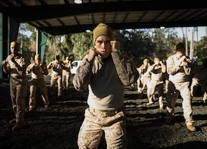 Recruits with India Company, 3rd Recruit Training Battalion, execute tan belt techniques as part of the Marine Corps Martial Arts Program on Marine Corps Recruit Depot Parris Island, S.C., Dec. 5, 2023. During recruit training, recruits are taught and must master basic assault and defense techniques to earn their tan belt through MCMAP.  (U.S. Marine Corps photo by Lance Cpl. Ava Alegria)