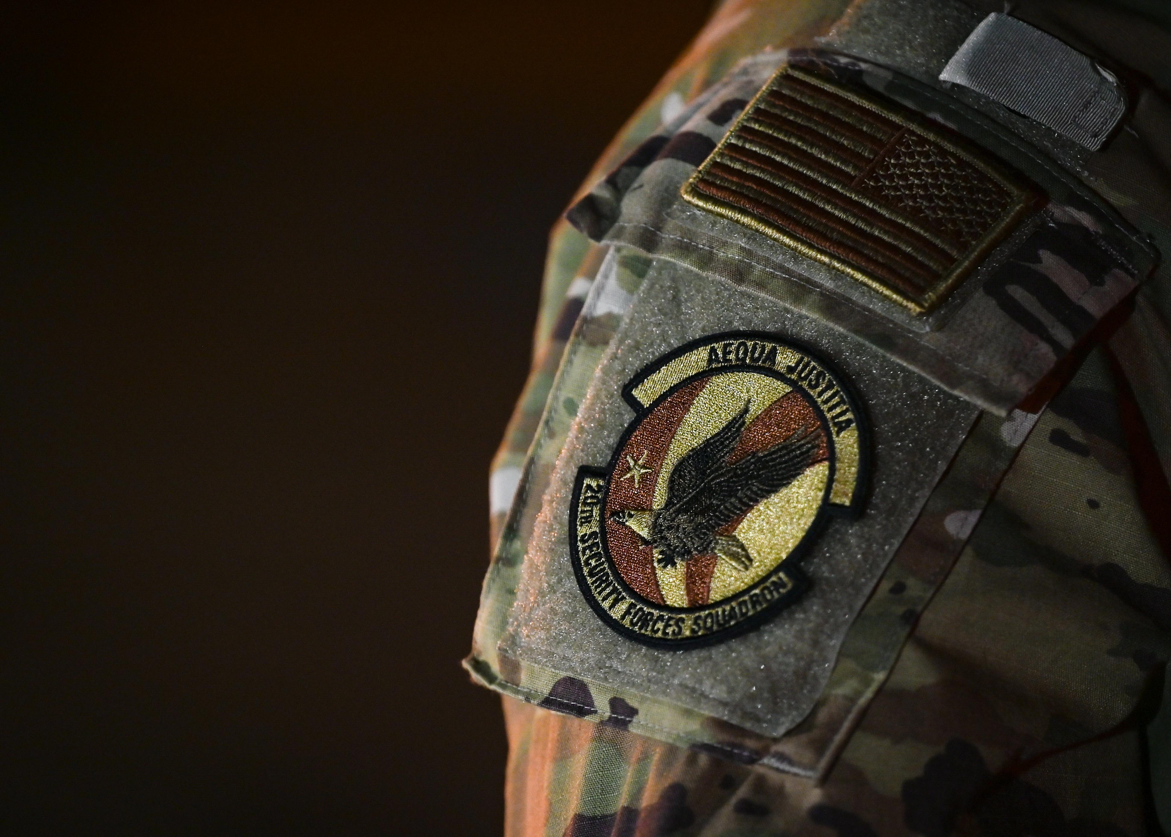 Night Watch Team Shaw defenders bring 24hour security to Bamboo Eagle