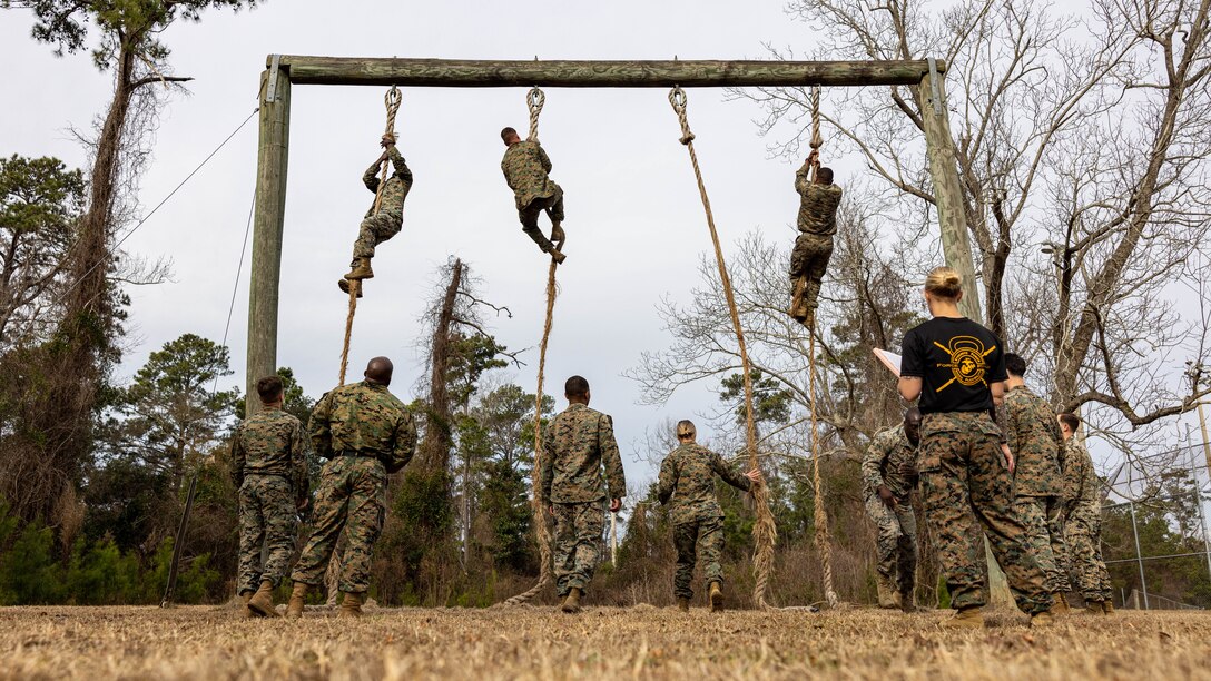 U.S. Marines and U.S. Navy Sailors with 2nd Marine Logistics Group, take part in a scored obstacle course during a Force Fitness Instructor Course on Camp Lejeune, North Carolina, Feb. 2, 2024. 2nd MLG Marines and Sailors participated in the course to understand how to utilize structured functional exercise science in order to optimize performance, reduce injuries, and maximize unit physical readiness. (U.S. Marine Corps photo by Cpl. Alfonso Livrieri)