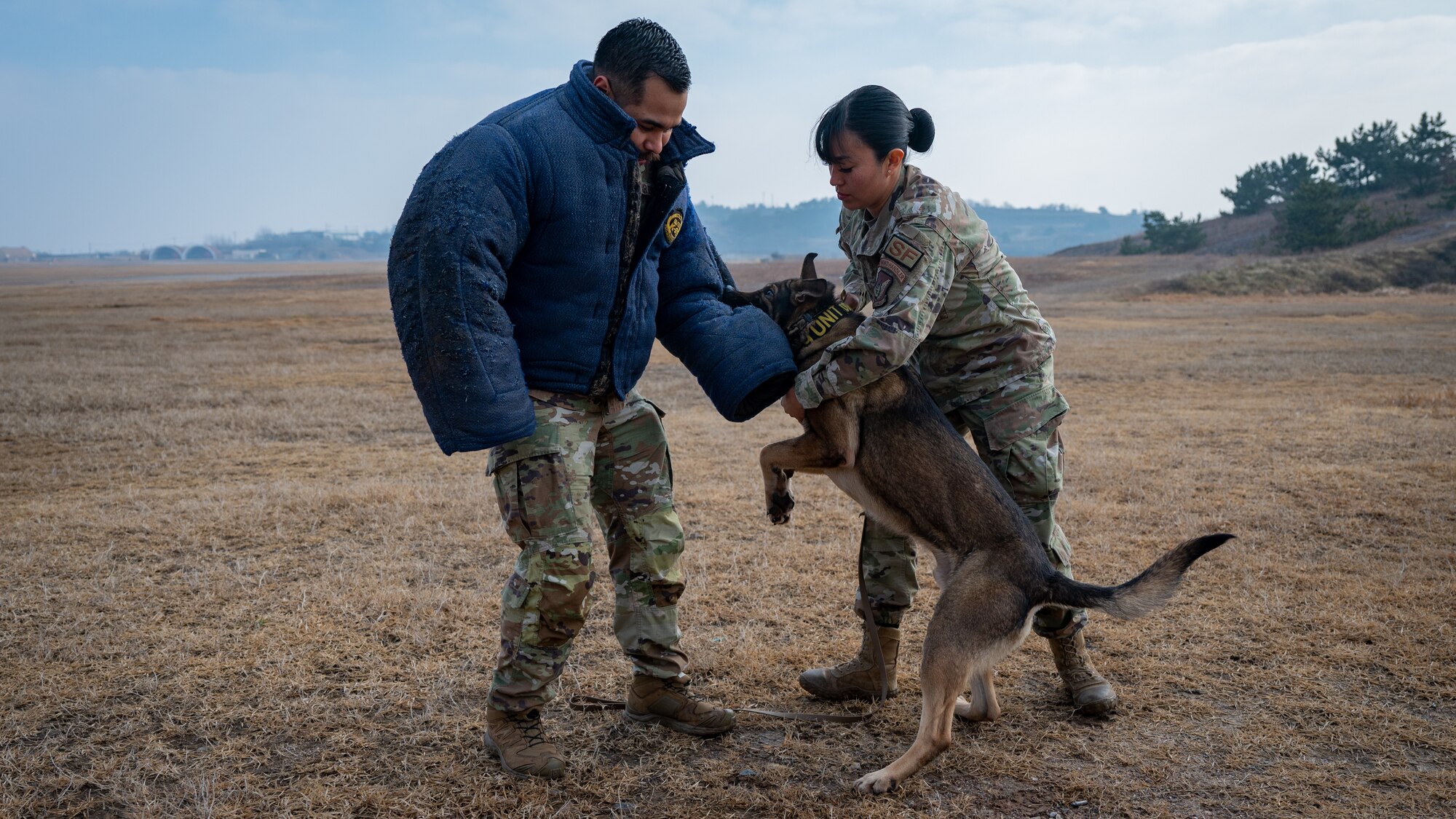 Senior Airman Georgina Silva and MWD Dirty apprehend a mock perpetrator.