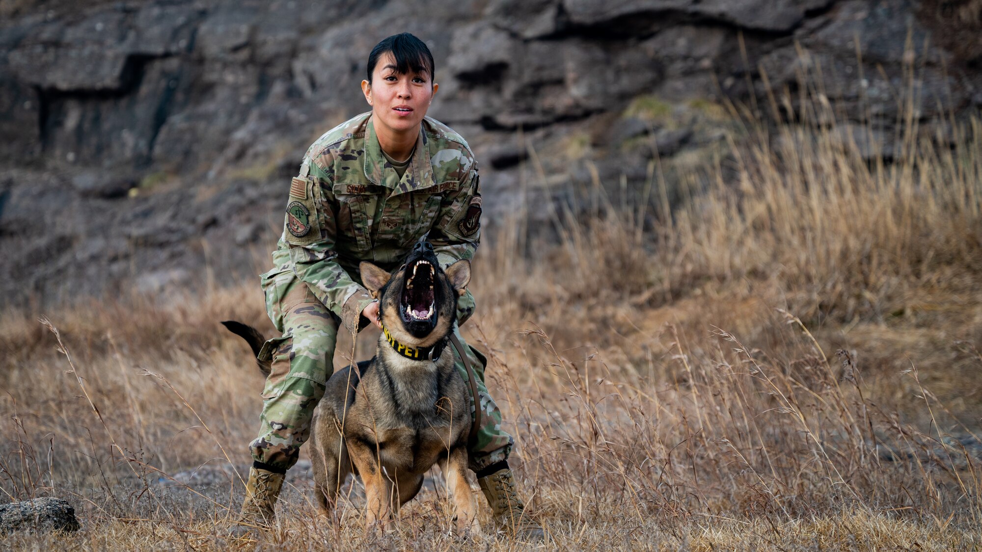 Senior Airman Georgina Silva and MWD Dirty prepare to apprehend a mock perpetrator.