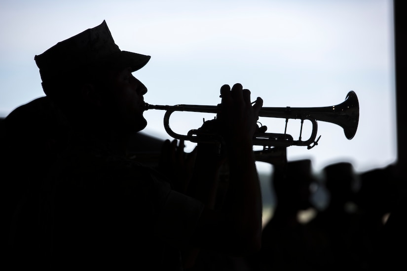 U.S. Marines assigned to the 2nd Marine Aircraft Wing band perform during a change of command ceremony for Marine Electronic Warfare Squadron 3 at Marine Corps Air Station Cherry Point, N.C., June 16, 2015. The change of command ceremony is a time honored tradition in which Lt. Col. George Lambert relinquished command to Maj. David L. Manka. (U.S. Marine Corps photo by Lance Cpl. Anthony J. Brosilow/Released)