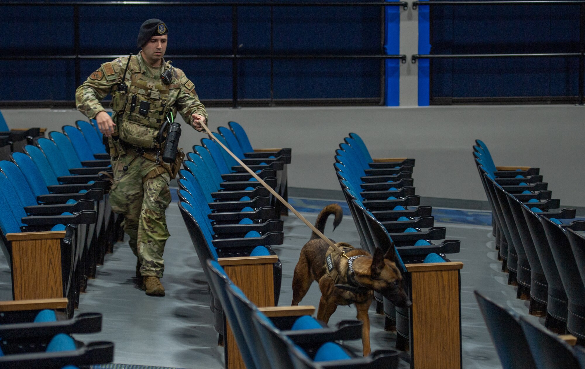 MWD sniffs out explosives for certification