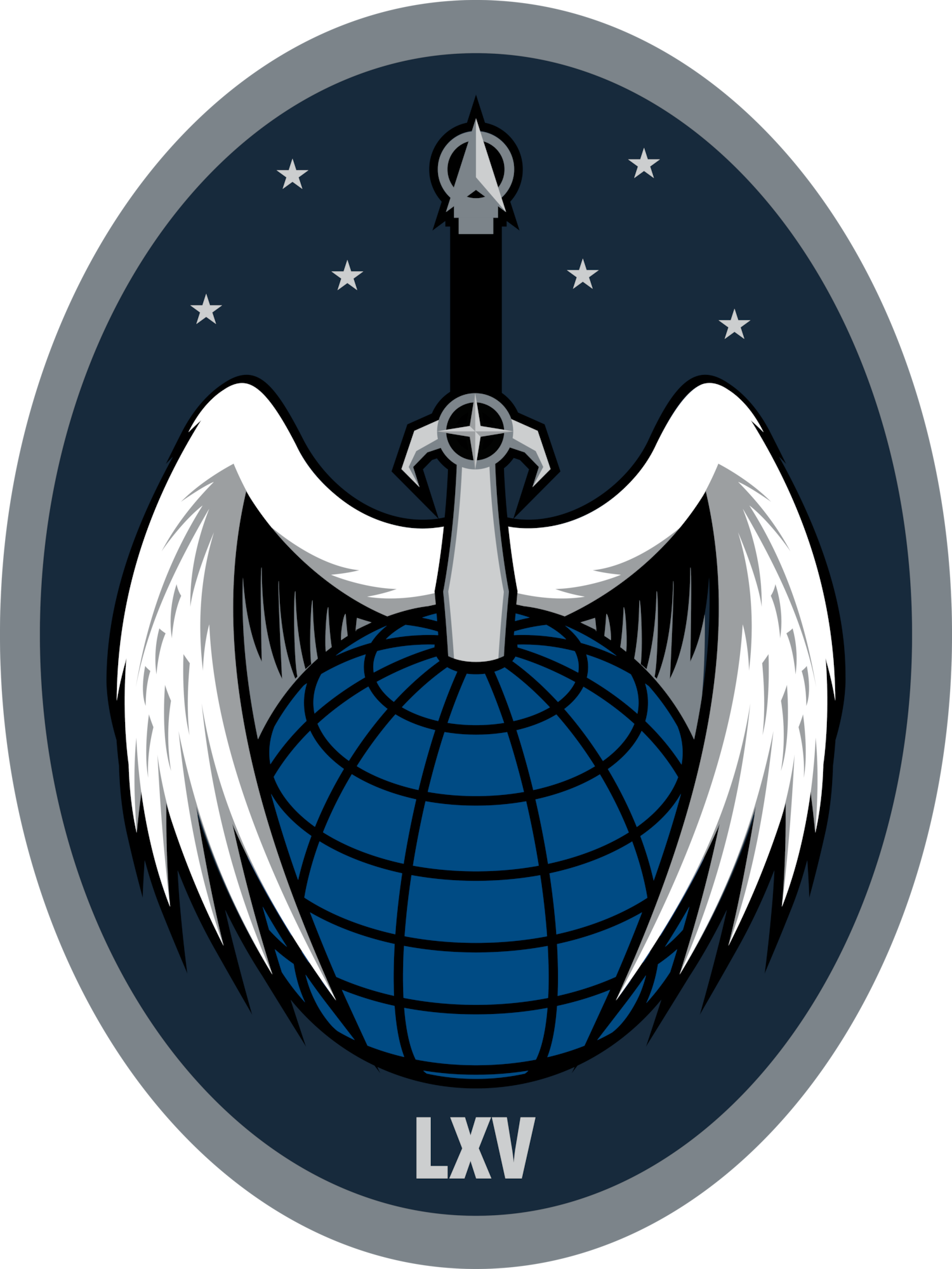 65th Cyberspace Squadron