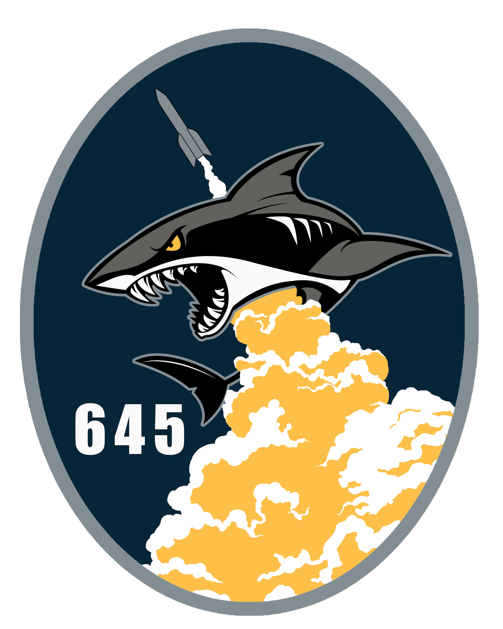 645th Cyberspace Squadron
