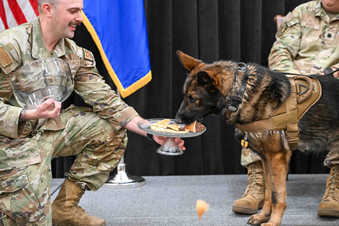An airman holds out a platter of food to a dog who happily eats it as another airman looks on.