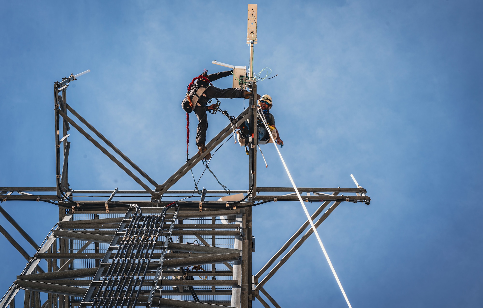 People install equipment on software