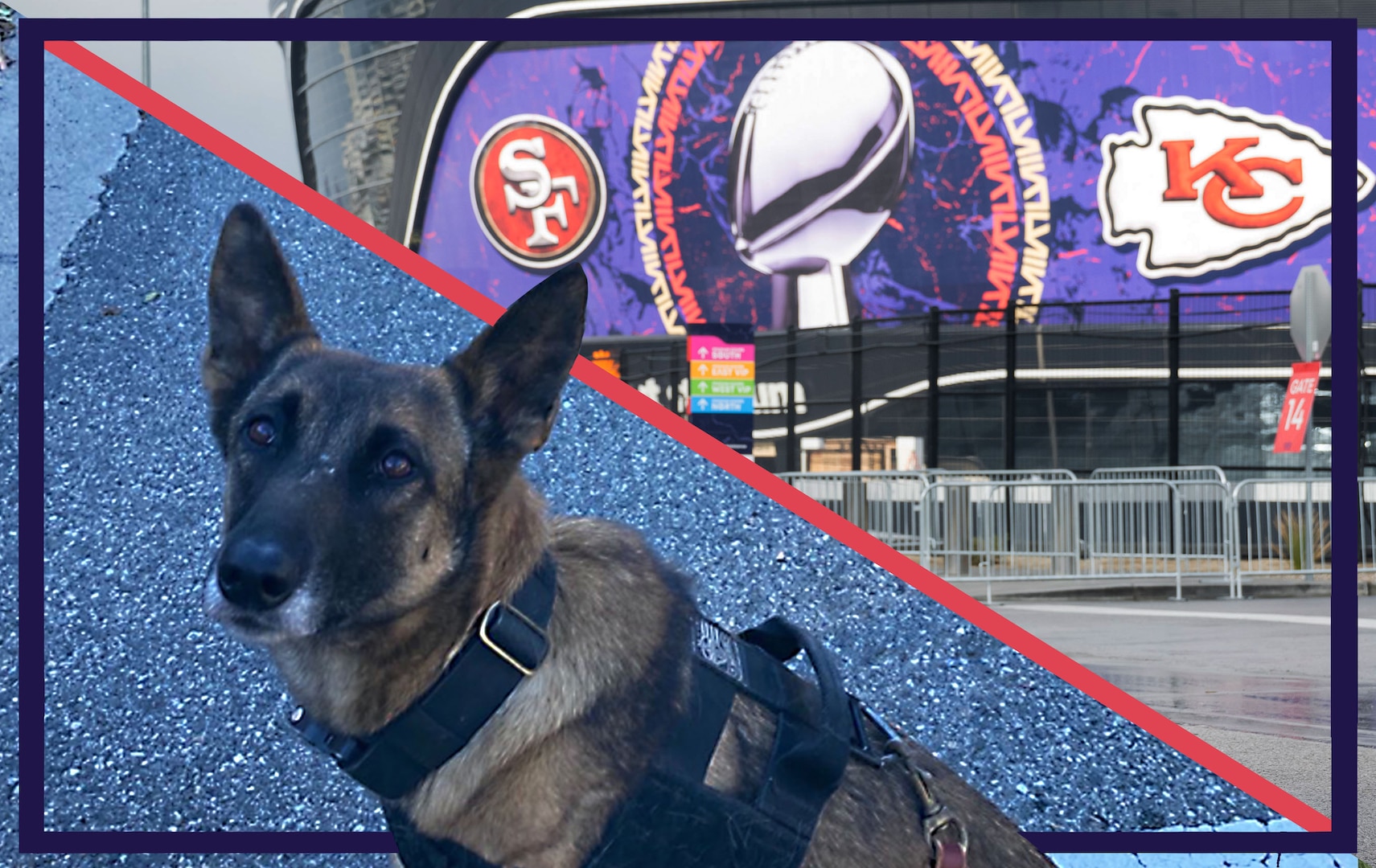 Serby, a Coast Guard K9 with Maritime and Safety Security Team Los Angeles, has been assigned to protect Allegiant Stadium in Las Vegas for Super Bowl LVIII.