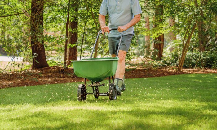 Man pushing fertilizer spreader across lawn
