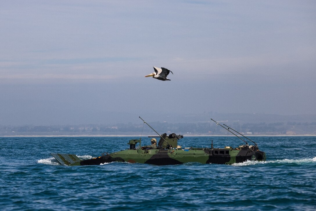 U.S. Marines with 3rd Assault Amphibian Battalion, 1st Marine Division, operate Amphibious Combat Vehicles during launch and recovery drills off the coast of Marine Corps Base Camp Pendleton, California, Jan. 31, 2024.