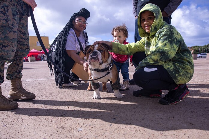 U.S. Marine Corps Pfc. Bruno, the Marine Corps Recruit Depot San Diego and Western Recruiting Region mascot, poses for a photo with guests during Echo Company’s family day event at Marine Corps Recruit Depot San Diego, Feb. 8, 2024. Bruno’s role as the depot mascot is to boost morale, participate in events, and partake in community relations engagements in the San Diego area. (U.S. Marine Corps photo by Cpl. Joshua M. Dreher)