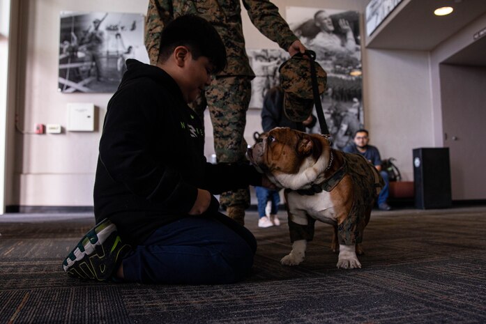 U.S. Marine Corps Pfc. Bruno, the Marine Corps Recruit Depot San Diego and Western Recruiting Region mascot, is greeted by a guest during Echo Company’s family day event at Marine Corps Recruit Depot San Diego, Feb. 8, 2024. Bruno’s role as the depot mascot is to boost morale, participate in events, and partake in community relations engagements in the San Diego area. (U.S. Marine Corps photo by Cpl. Joshua M. Dreher)