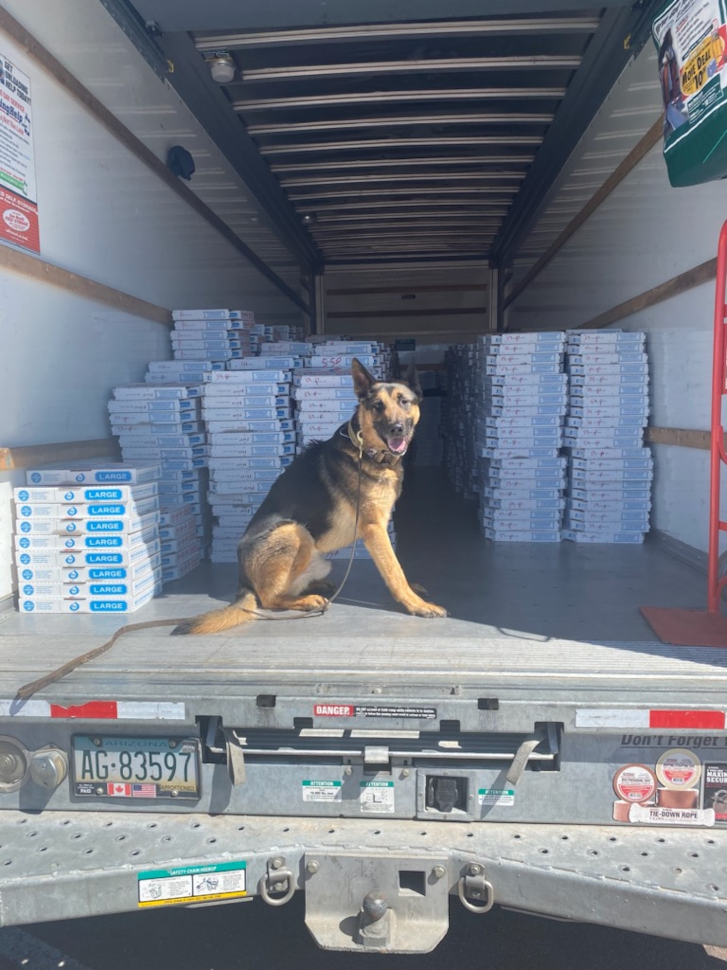 K9 in the back of a truck.