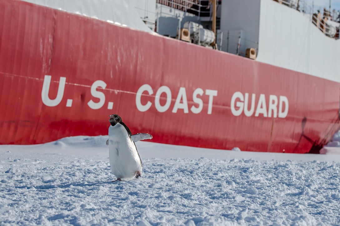 A penguin walks on snow near a Coast Guard ship.