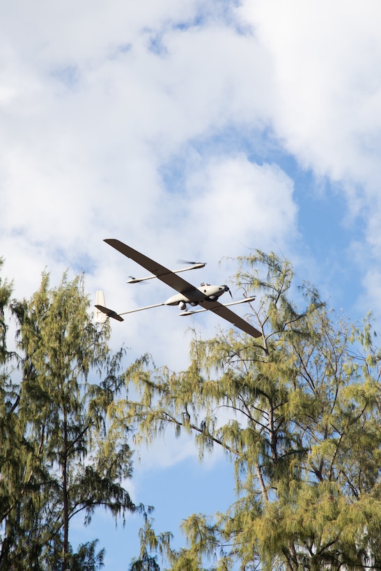A Stalker VXE30 unmanned aerial system conducts a vertical take-off during a training evolution at Marine Corps Training Area Bellows, Hawaii, Jan. 23, 2024. During the training, 3d Littoral Combat Team, 3d Marine Littoral Regiment, 3d Marine Division experimented with the Littoral Reconnaissance Team concept while operating multiple advanced data collection systems and assets, such as the Stalker VXE30 small unmanned aerial system. (U.S. Marine Corps photo by Sgt. Jacqueline C. Parsons)