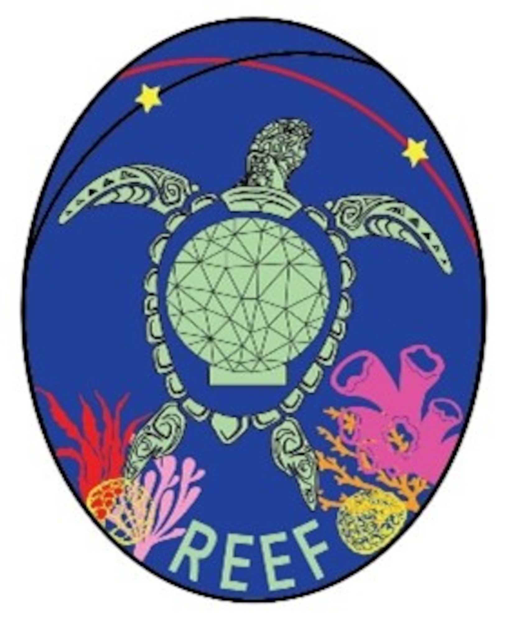 Oval logo with sea turtle with shell that resembles a radome and word "reef" at the bottom.