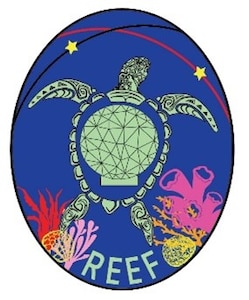 Oval logo with sea turtle with shell that resembles a radome and word "reef" at the bottom.