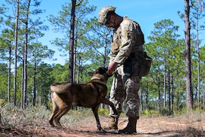 U.S. Air Force Staff Sgt. Austin Dragoo, a 1st Special Operations Security Forces Squadron military working dog handler, and MWD Bob, participate in explosive detection training at Hurlburt Field