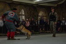 Educators with Recruiting Stations’ Indianapolis, Kansas City, Milwaukee, and Twin Cities participating in the 2024 Educator’s Workshop receive a demonstration on the role of K-9 military working dogs on Feb. 20, 2024 at Marine Corps Recruit Depot San Diego, California. Participants of the workshop visit MCRD San Diego to observe recruit training and gain a better understanding about the transformation from recruits to United States Marines. (U.S. Marine Corps photo by Sgt. Jesse K. Carter-Powell)