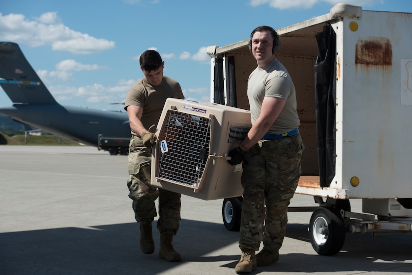 Two airmen carry a large animal crate from the back of a truck.